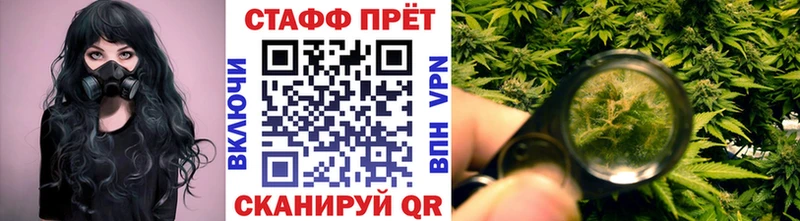 Виды наркотиков купить Покачи Альфа ПВП КОКАИН Меф мяу мяу Псилоцибиновые грибы Бошки Шишки