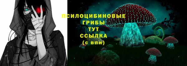 эйфоретик Аркадак