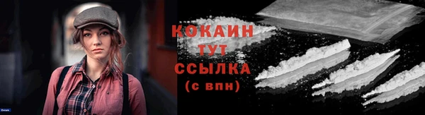 прущие грибы Армянск
