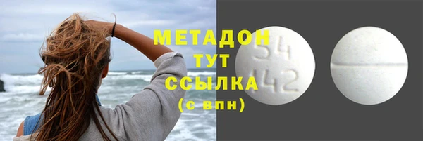 прущие грибы Армянск
