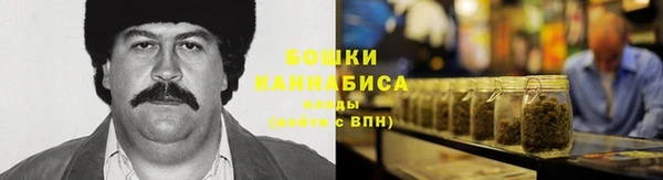 прущие грибы Армянск