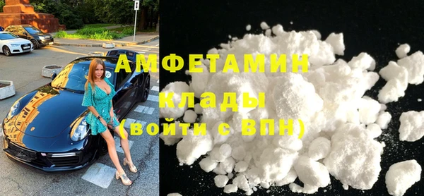 прущие грибы Армянск