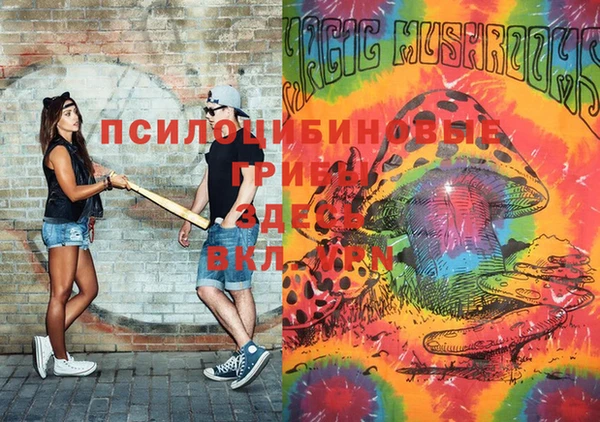 прущие грибы Армянск