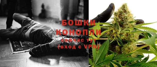 прущие грибы Армянск