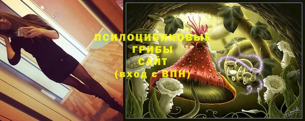 эйфоретик Аркадак