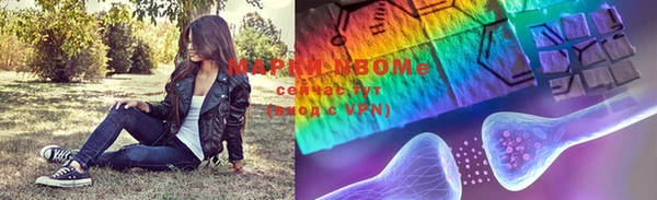 прущие грибы Армянск