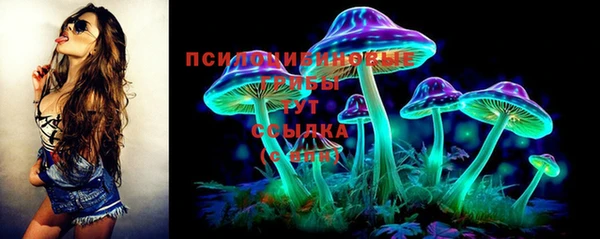 мяу мяу мука Арсеньев