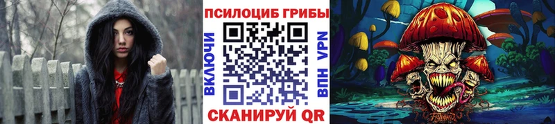 ОМГ ОМГ маркетплейс  Покачи  Галлюциногенные грибы GOLDEN TEACHER 