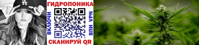 Конопля семена  купить наркотик  Покачи 